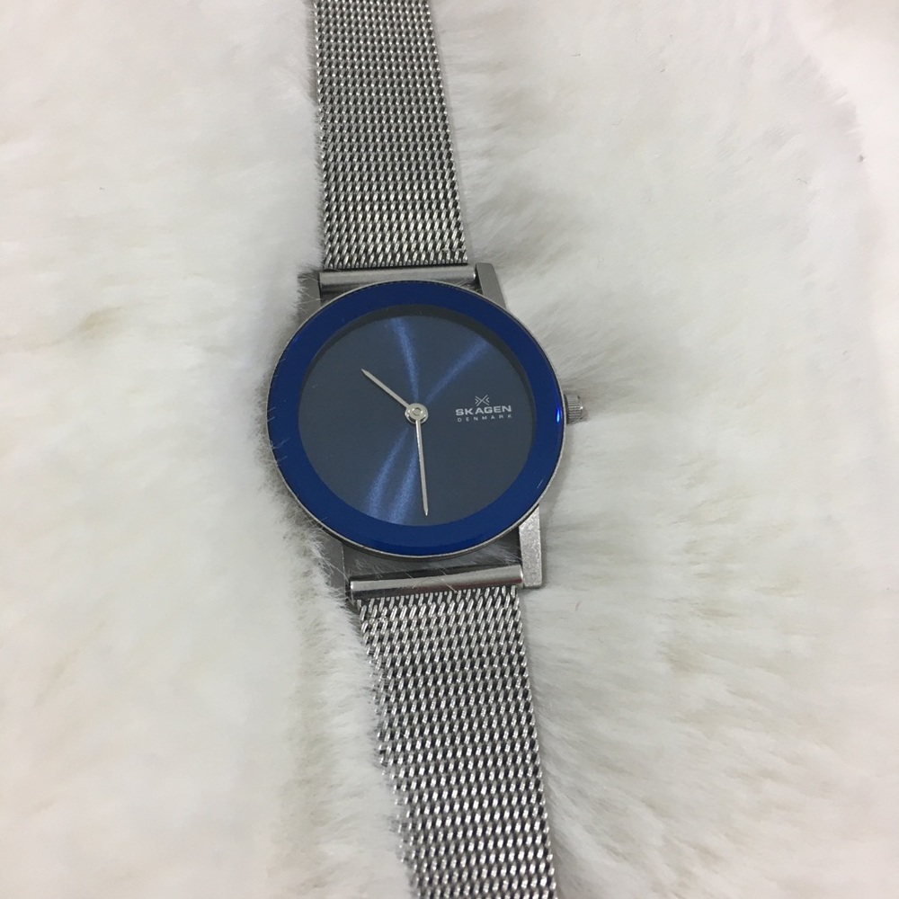 Skagen Blue Face Watch